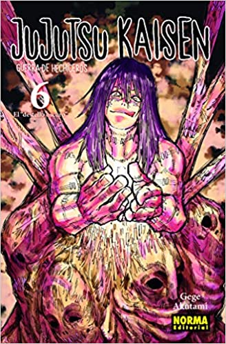 Jujutsu Kaisen 6