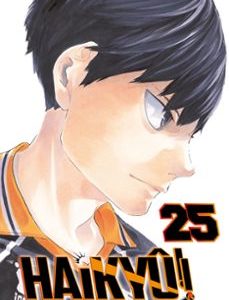 HAIKYÛ!! 25