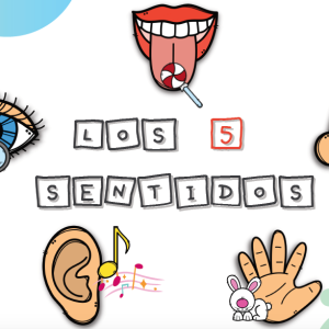 CUADERNO LOS 5 SENTIDOS