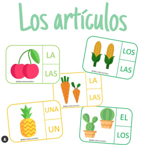 LOS ARTÍCULOS