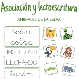 ASOCIACIÓN Y LECTOESCRITURA: ANIMALES DE LA SELVA