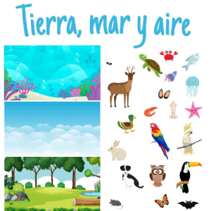 ANIMALES: tierra, mar y aire