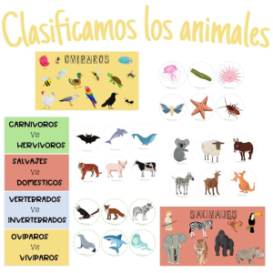 CLASIFICAMOS LOS ANIMALES