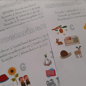 ORTOGRAFÍA: c/qu ; g/j ; g/gu/gü