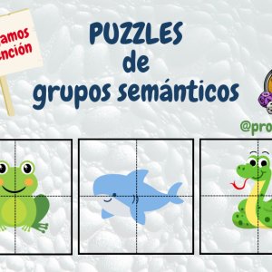 Puzzles de grupos Semánticos