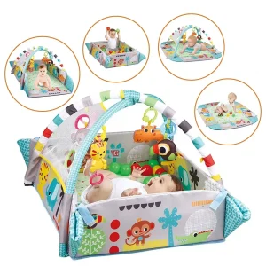 Gimnasio Piscina de pelotas Circus Verde