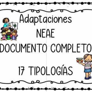 DOSSIER 17 Adaptaciones aula alumnos NEAE