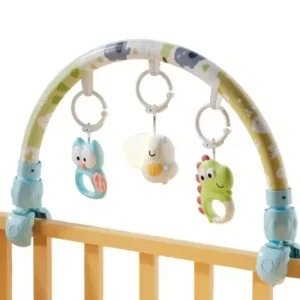 Juguete Arco de Coche de bebé (Tucán)