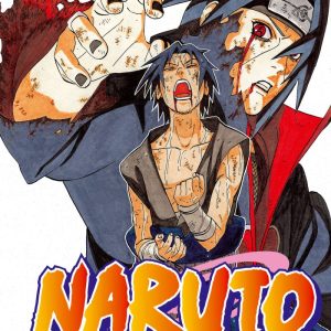 Naruto 43