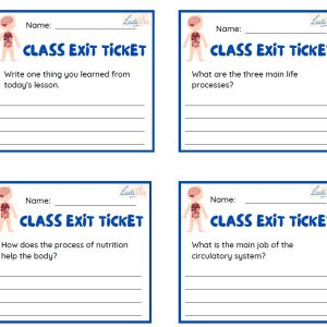 Exit tickets-human body