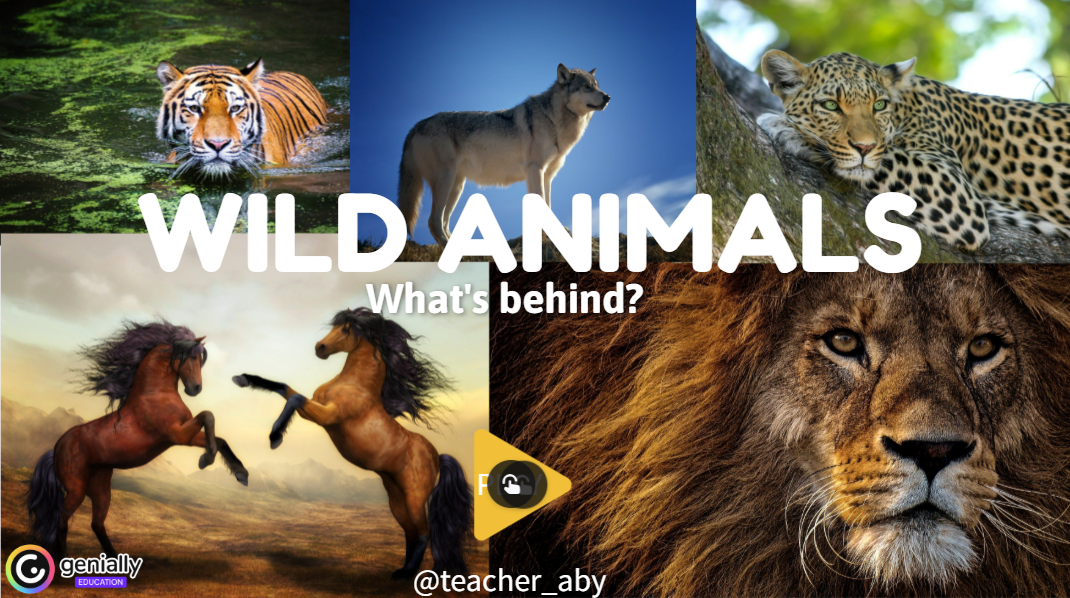 ANIMALS GAMES PACK - Imagen 4