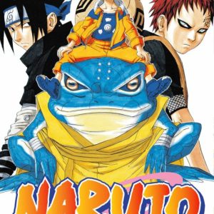 Naruto 13