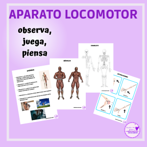 Aparato Locomotor