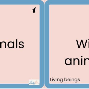 Tarjetas Tapple-Basta CCNN 1er Ciclo