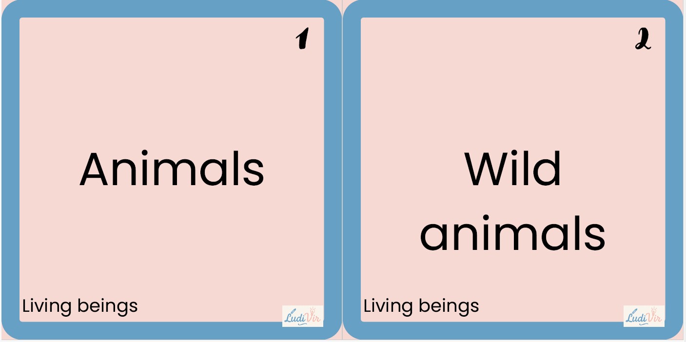 Tarjetas Tapple-Basta CCNN 1er Ciclo