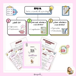 DUA (Diseño Universal del Aprendizaje)