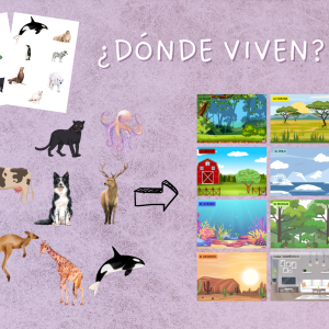 ¿Dónde viven? Animales y hábitats
